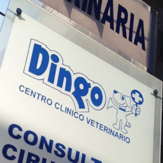 Centro Clínico Veterinario Dingo
