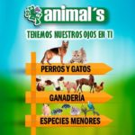 Animals Veterinaria – Sede Autonorte 127