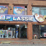 Centro Medico Veterinario Lassie