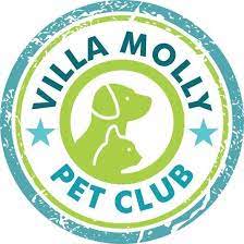 Guardería Villa Molly – Pet Club