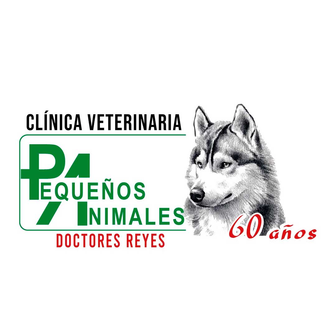 Clínica Veterinaria Pequeños Animales